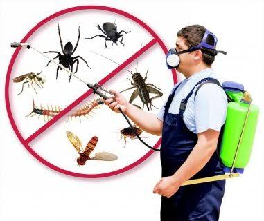 Safe insecticide spraying